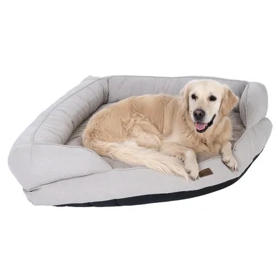 Dog lying on a grey dog bed with raised edge and black underside.