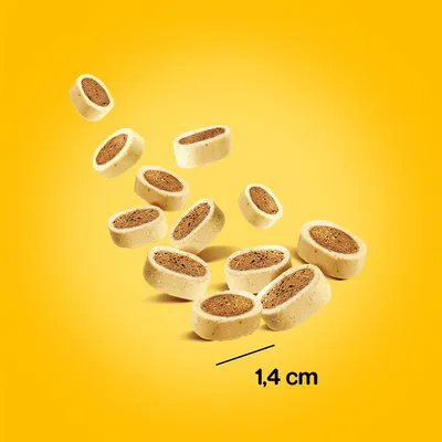 Bocconcini rotondi bicolore con ripieno marrone, diametro indicato: 1,4 cm