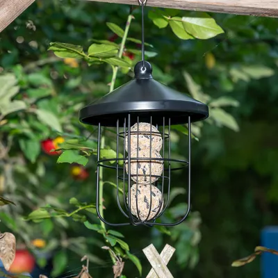 Schwarzer Metall-Futterspender für Meisenknödel, hängend, mit drei Knödeln gefüllt. Geeignet für die Fütterung von Wildvögeln im Garten.