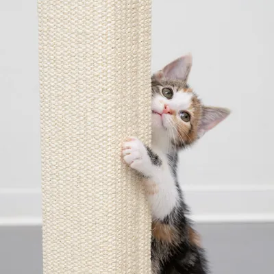 Krabbelpaal van sisal, gebruikt door een kat. Geschikt voor nagelverzorging en spel.