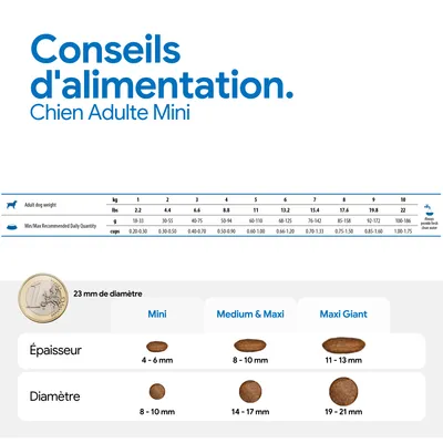 Recommandation d’alimentation pour Chien Adulte Mini : tableau avec le poids, la quantité journalière en grammes et en gobelets. Comparaison des tailles de croquettes Mini, Medium & Maxi, Maxi Giant avec le diamètre et l’épaisseur.