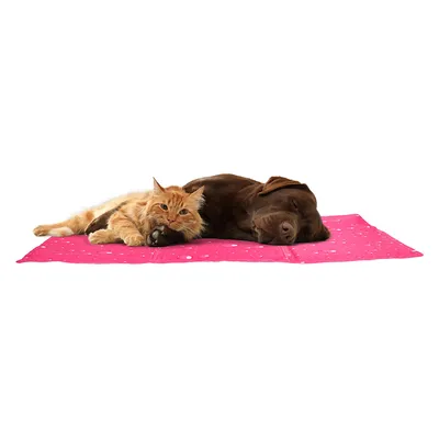 Perro marrón y gato naranja tumbados juntos sobre una esterilla rosa con puntos blancos.