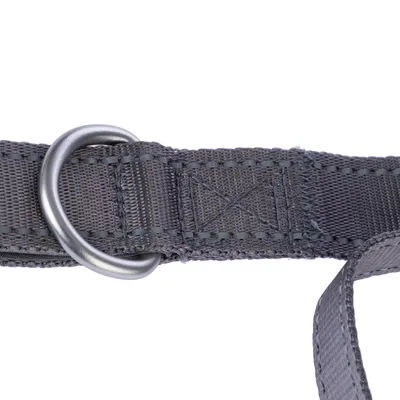Close-up van een grijze nylon hondenhalsband met stevige metalen D-ring bevestiging en versterkte naden.