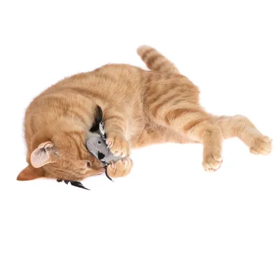 Rote Katze spielt mit einem grauen Stoffspielzeug in Form einer Maus.