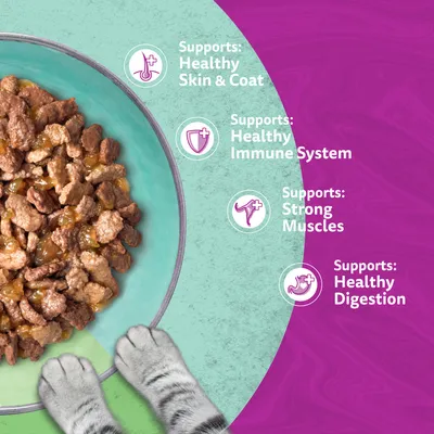 Whiskas 1+ Duo Mixed Medley in Jelly - 48 x 85g Whiskas 1+ Duo Mixed Medley in Jelly - 48 x 85g