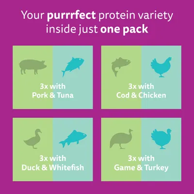 Whiskas 1+ Duo Mixed Medley in Jelly