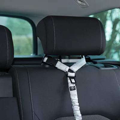 Sangle de sécurité grise fixée à un appui-tête de siège arrière de voiture, boucle en plastique visible, adaptée pour attacher une laisse ou harnais. Matériau textile et plastique visibles.