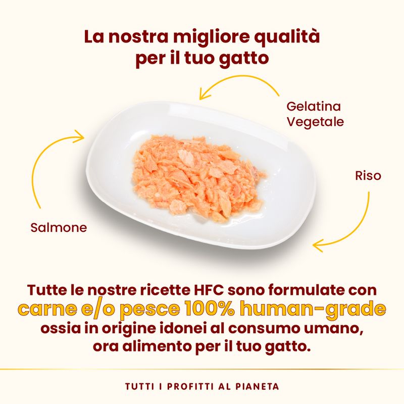 Almo Nature HFC Natural 12 x 70 g umido gatto
