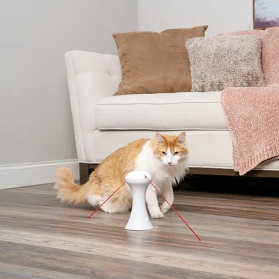 Toy with red laser beam being examined by a cat on a wooden floor. Suitable for interactive indoor play.