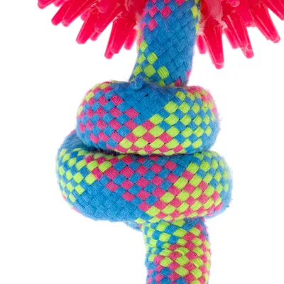 Giocattolo in tessuto intrecciato blu, verde e rosa con punte in plastica rossa. Adatto per il gioco interattivo.
