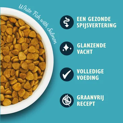 White Fish with Salmon, een gezonde spijsvertering, glanzende vacht, volledige voeding, graanvrij recept. Afbeelding van brokjes in een witte kom.