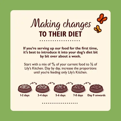 Feeding guide showing how to gradually switch pet food over 9 days, starting with mostly current food and increasing new food daily until only the new food is served.
