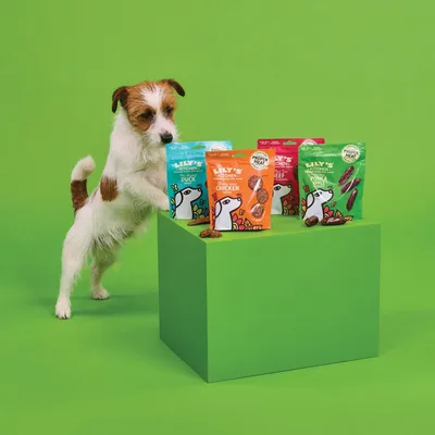 Dog standing beside four packs of Lily's Kitchen treats in duck, chicken, beef, and pork flavours displayed on a green block.