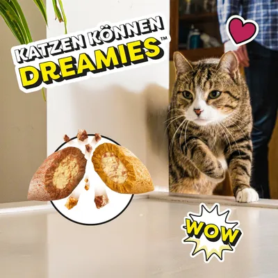 Dreamies Katzensnacks Mix Pack, Käse & Rind