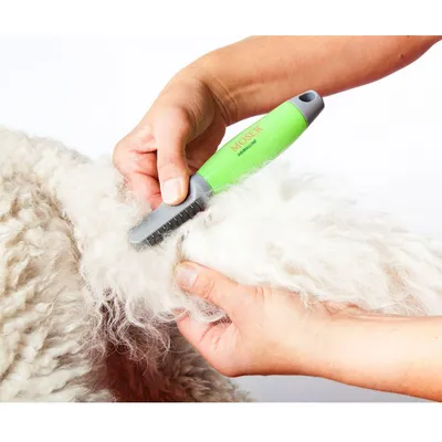 Brosse verte MOSER Animalline utilisée sur le pelage d’un animal à poils longs. Manche en plastique visible, dents métalliques apparentes.