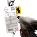 PURRfect Crunchy Feather Cat Dangler