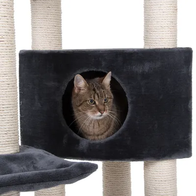 Kratzbaum mit Sisalstämmen und schwarzer Höhle. Katze sitzt in der Höhle und schaut heraus.