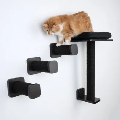 Sistema da arrampicata e graffiatura da parete con tre rulli in sisal neri e una piattaforma. Gatto che utilizza il sistema.