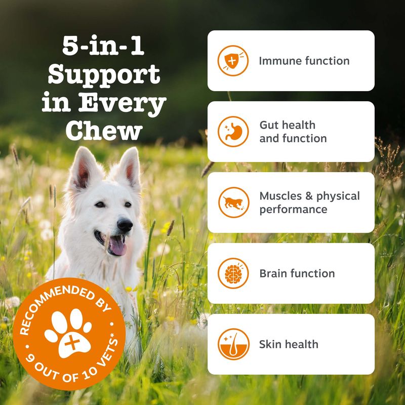 Zesty Paws 5-in-1 Chews kalkkuna