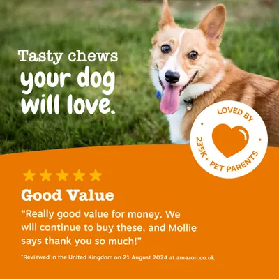 Zesty Paws Allergy & Immunity Chews Laks