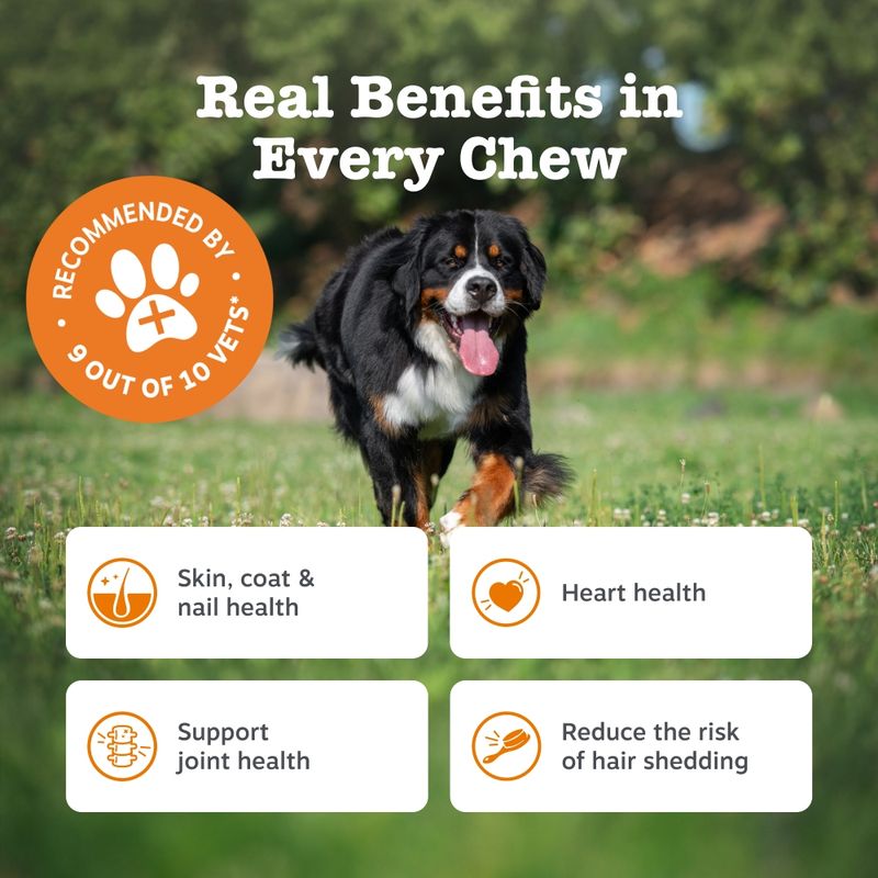Zesty Paws Omega Skin & Coat Salmon