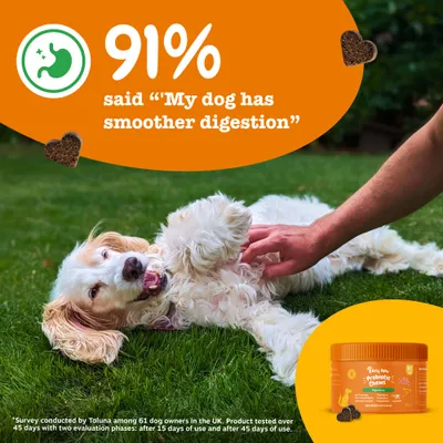 Zesty Paws Probiotic Chews sütőtök