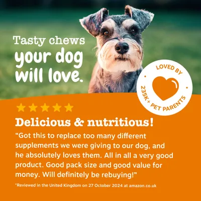 Zesty Paws Senior Advanced 9-i-1 Chews kalkun Zesty Paws Senior Advanced 9-i-1 Chews kalkun