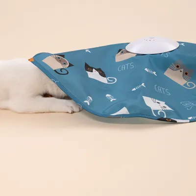 TIAKI interaktivt fangstspil til katte