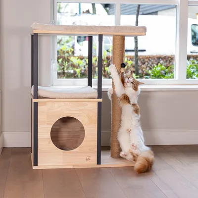 Kratzbaum aus Holz mit Höhle, Liegefläche und Sisal-Kratzsäule. Katze streckt sich an der Kratzsäule.