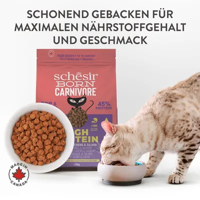 Schesir Born Carnivore High Protein Trockenfutter mit Hering & Lachs, 45% Protein, schonend gebacken für maximalen Nährstoffgehalt und Geschmack. Made in Canada. Katze frisst aus Napf.