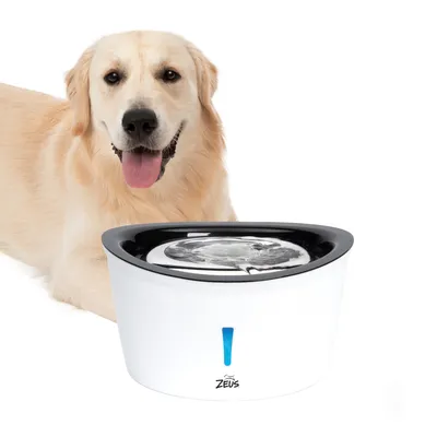 Fontaine à eau blanche et noire Zeus avec réservoir d’eau visible, posée devant un chien à poil clair. Marque Zeus inscrite sur le devant du produit.