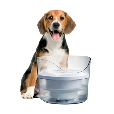 Zeus Trinkbrunnen mit transparentem Design und Wasserbehälter, geeignet für Haustiere.