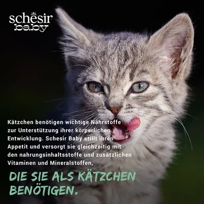 Schesir Baby: Kätzchen benötigen wichtige Nährstoffe für ihre körperliche Entwicklung. Stillt Appetit und versorgt mit Nahrungsinhaltsstoffen, Vitaminen und Mineralstoffen.