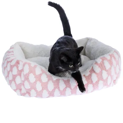 Schwarze Katze in einem rosa-weissen Katzenbett mit Herzmuster und weicher Innenpolsterung.