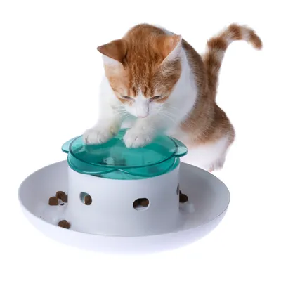 Rote-weisse Katze spielt mit einem interaktiven Futterspender aus Kunststoff mit Löchern und einer grünen Abdeckung.