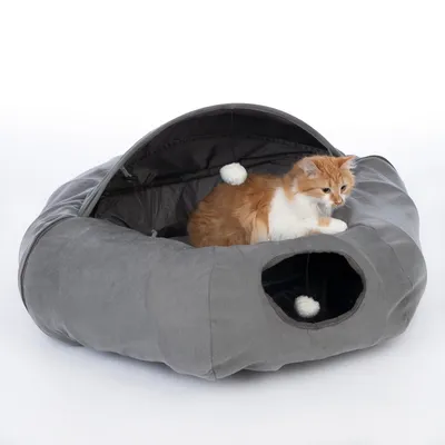 Grey cat bed in cave shape with two entrances and hanging toy. Red and white cat sitting in the bed.