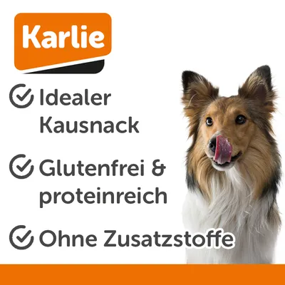 Karlie Kauring mit Huhn Karlie Kauring mit Huhn