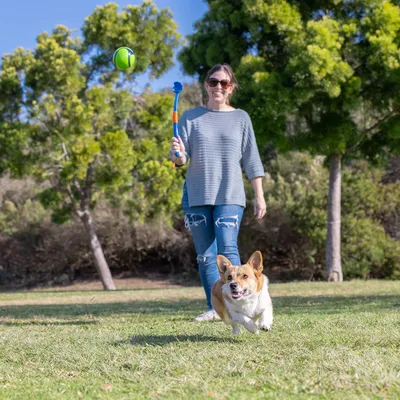 Cane che corre su un prato mentre una persona lancia una palla con un lanciapalline.