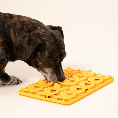 Modern Living Margarita Island nyalószőnyeg Modern Living Margarita Island nyalószőnyeg