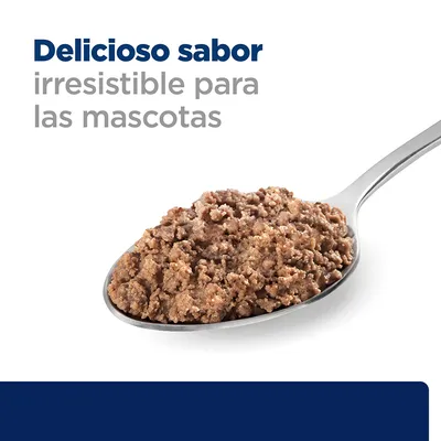 Delicioso sabor irresistible para las mascotas. Imagen de una cuchara con comida húmeda marrón para mascotas.