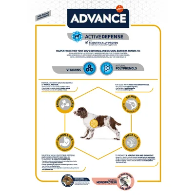 Advance Active Defense, vitamine E, B, C, polifenoli naturali, monoproteină animală, somon, orez, omega 3&6. Imagine cu câine și informații despre digestibilitate și piele sănătoasă.
