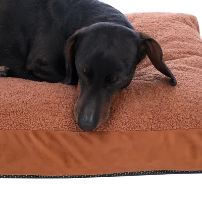 Chien noir allongé sur un grand coussin marron en tissu bouclette, bordure inférieure en suédine. Coussin rectangulaire visible en gros plan.