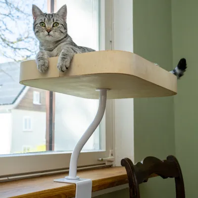 Modern Living Schreibtischbett Mora