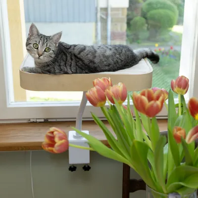 Modern Living Schreibtischbett Mora