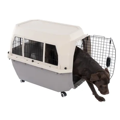 Transportbox mit Rollen, Gittertür geöffnet, brauner Hund steigt aus der Box.