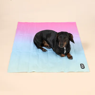 TIAKI Regenbogen Kühlmatte