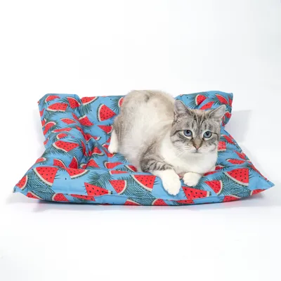 Cama para gatos con tela azul y estampado de sandía, gato acostado encima.