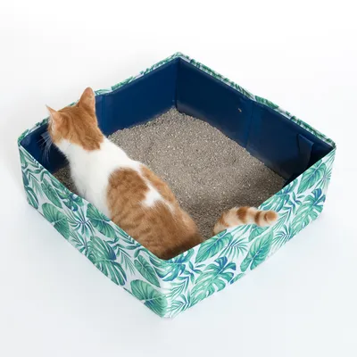 Kuweta na żwirek z zielonym wzorem liści, wypełniona żwirkiem. Kot siedzi w kuwecie i pokazuje użycie produktu.