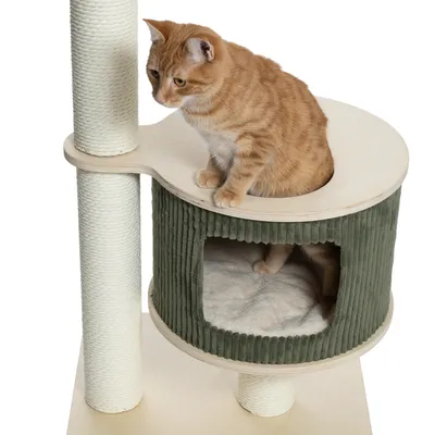 Árbol rascador con postes de sisal, escondite de tela verde y superficie de descanso de madera. Gato sentado en la plataforma superior.