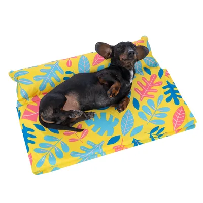Pies leży na żółtej poduszce z kolorowym wzorem liści. Produkt przedstawia dekoracyjne legowisko dla zwierząt.